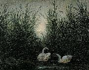 Caspar David Friedrich Schwaene im Schilf oil painting reproduction